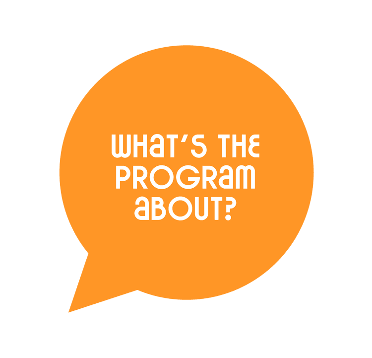 What's the program about?